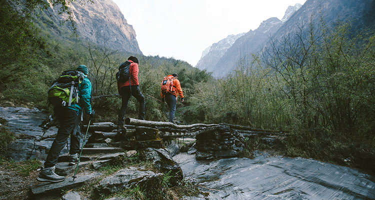 Surprising Outdoor Adventure